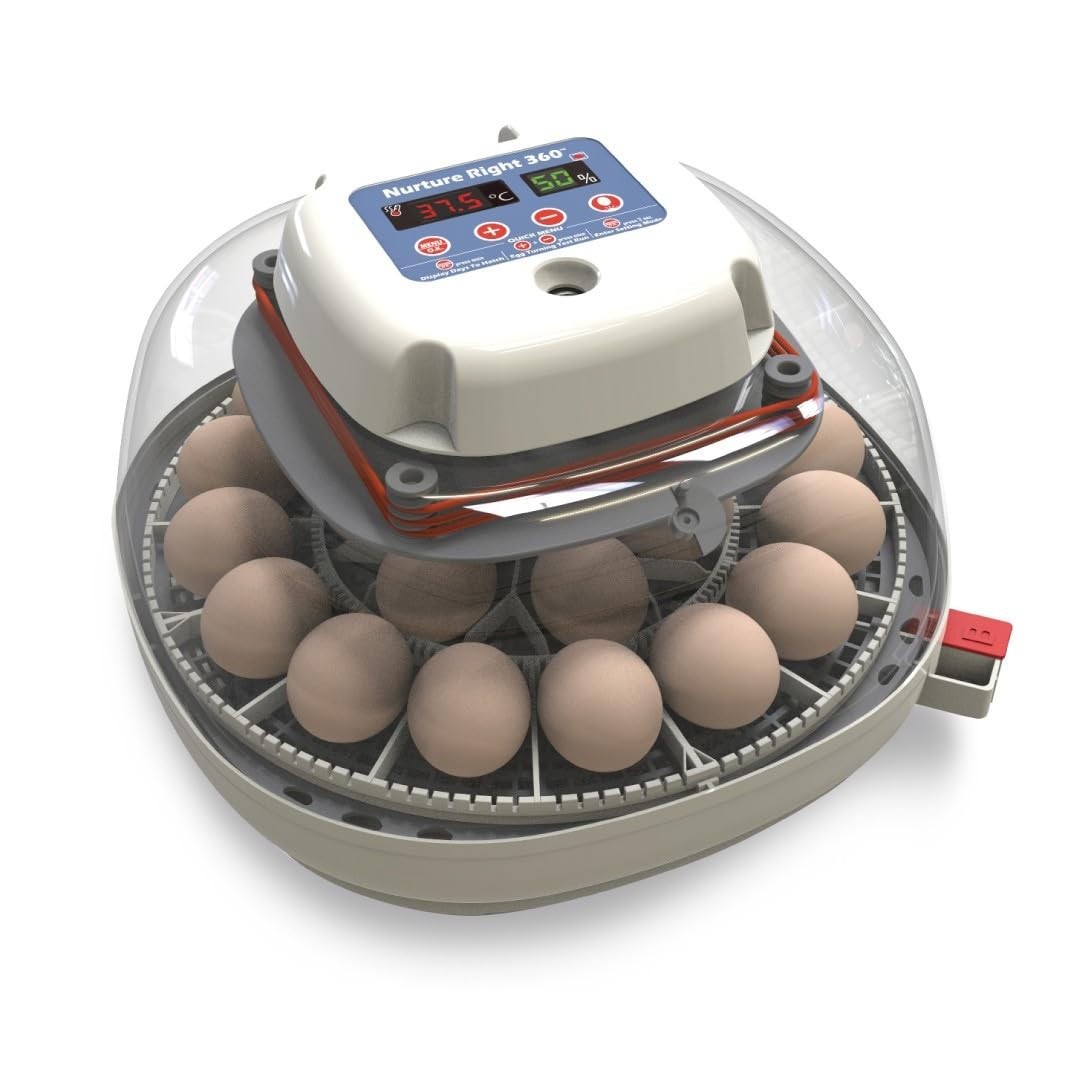 Automatic Egg Turner Incubator for Multiple Poultry Species