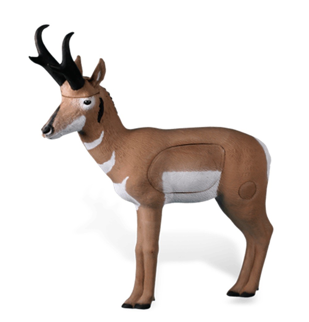 Rinehart Competition Pronghorn Antelope Archery Target IBO Scoring
