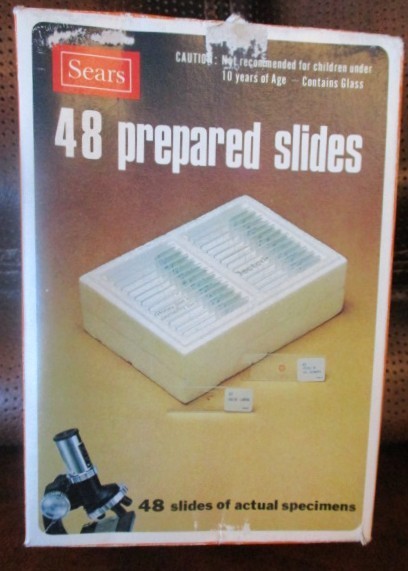 Vintage Sears Prepared Slides Insects Plants Sea Life Bee and Butterfly parts