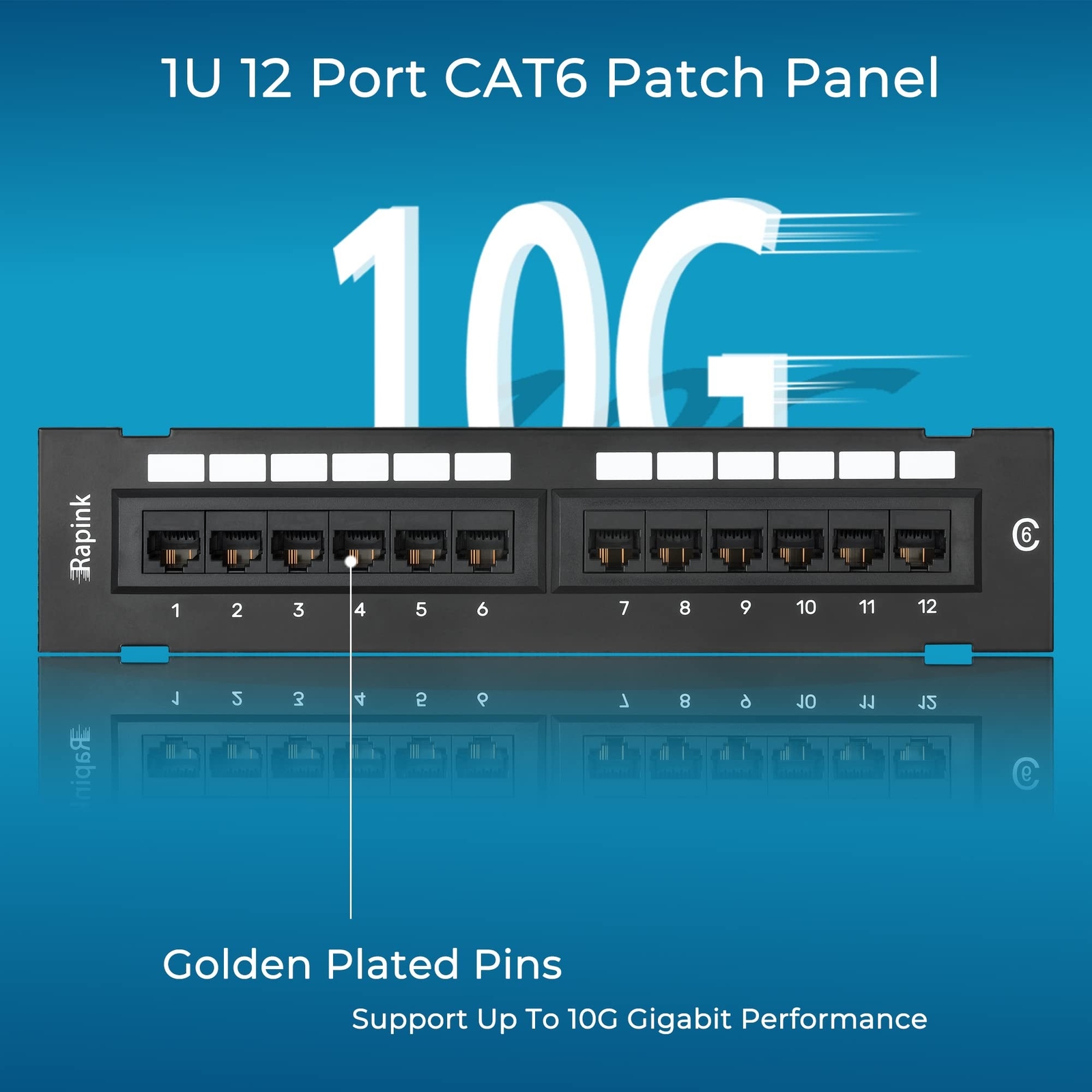 Rapink Patch Panel 12 Port Cat6 10G Support, Network Patch Panel UTP 10-Inch,...