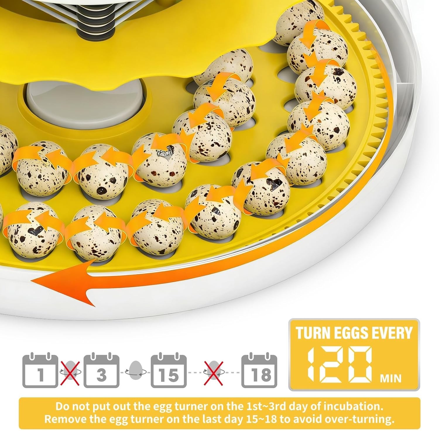 Quail Egg Incubator for Hatching Eggs with Automatic Egg Turning and Humidity...