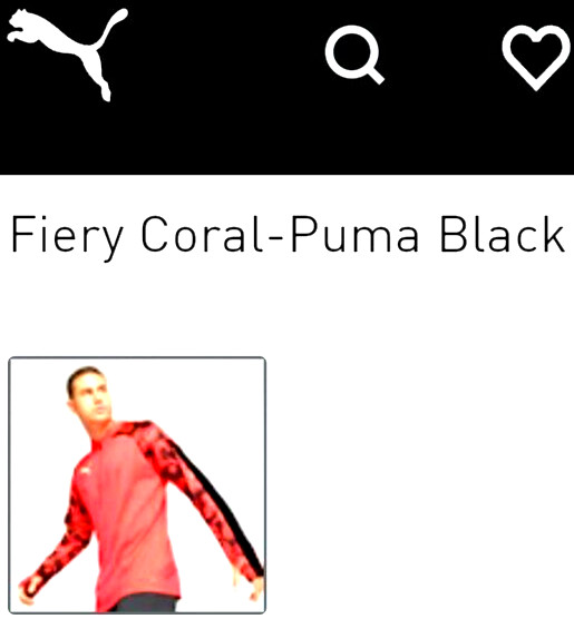 NEW PUMA, MEN'S SIZE XXL, FINAL WC 1/4-ZIP PULLOVER SOCCER⚽️JACKET, MSRP $55.00!