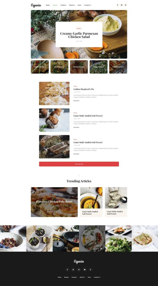 Premium Wordpress Elementor Template Kit Bundle | Blog & Podcast theme