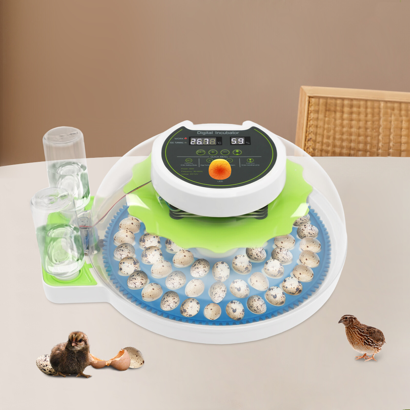 Modern LED Quail Egg Incubator Hatching 60 Quail Eggs Automatic Brooder