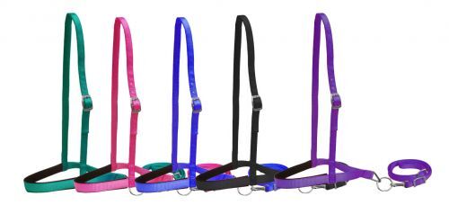 Padded NOSEBAND & TIE DOWN Showman PONY Size 1" Premium Nylon
