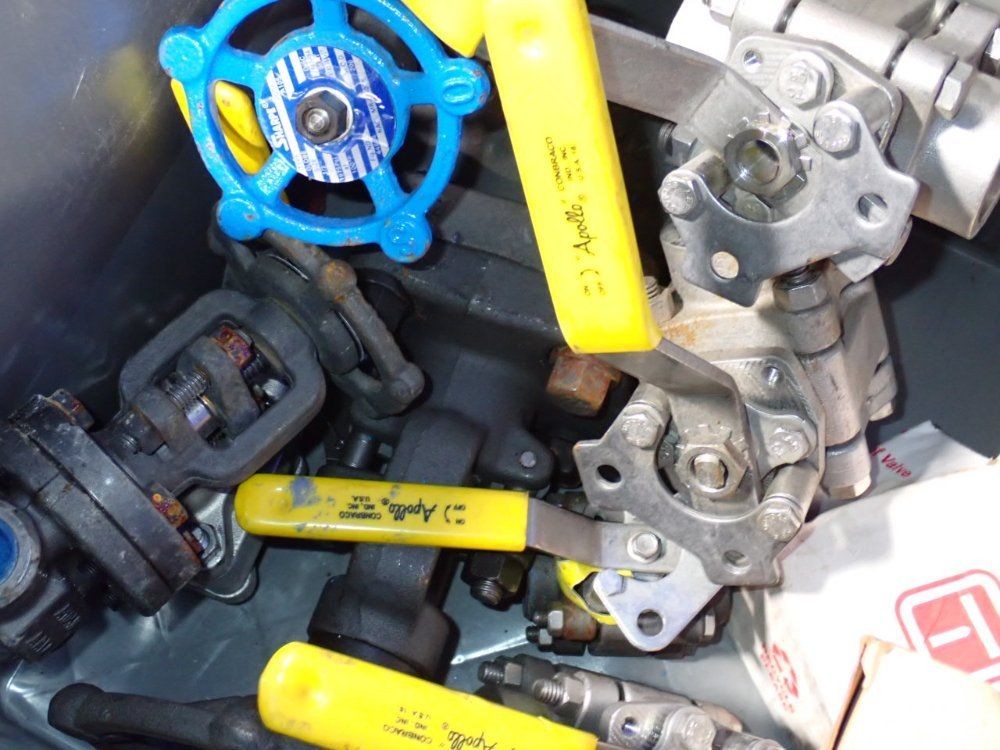 TAYLOR, APOLLO VALVES