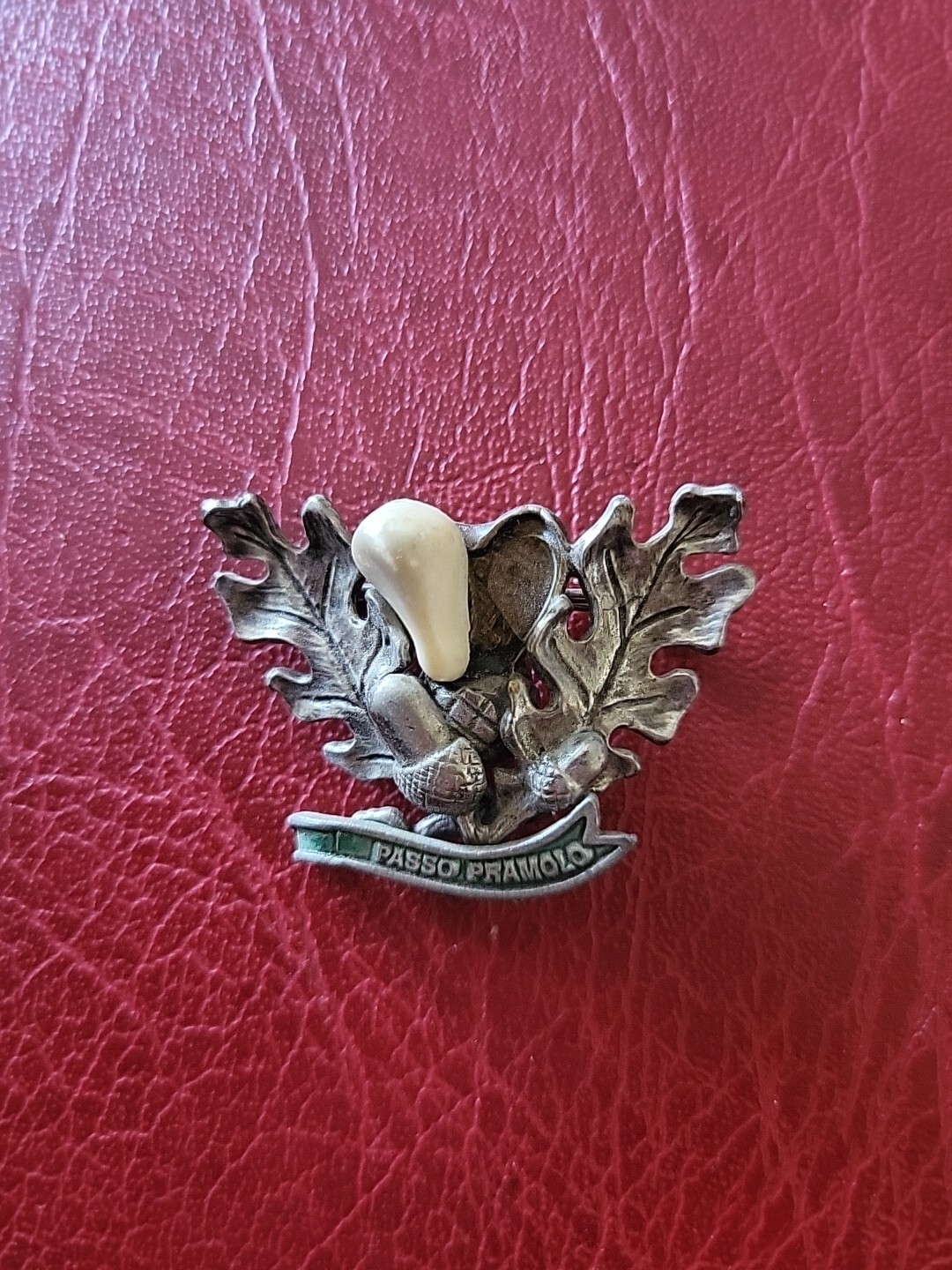 Pin Hatpin Hiking Pin Brooch Passo Pramolo