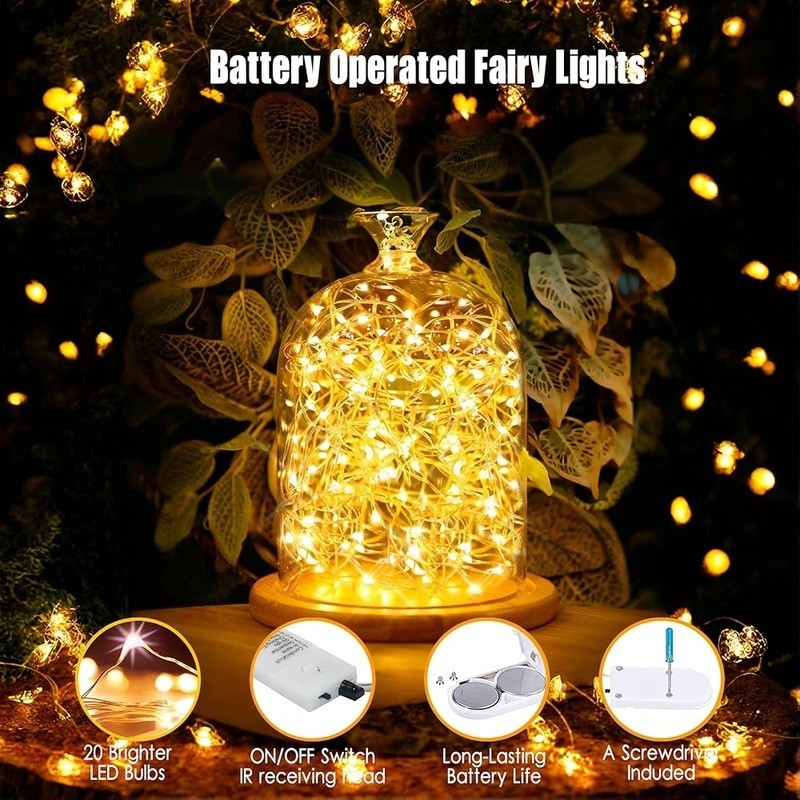 Remote Control Fairy Lights 20 LEDs Battery Powered Waterproof Timer 8 Modes New