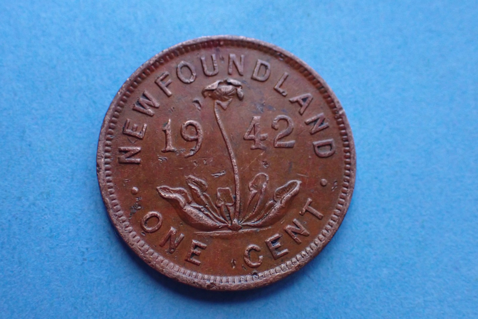 Newfoundland, One Cent 1942, see images.
