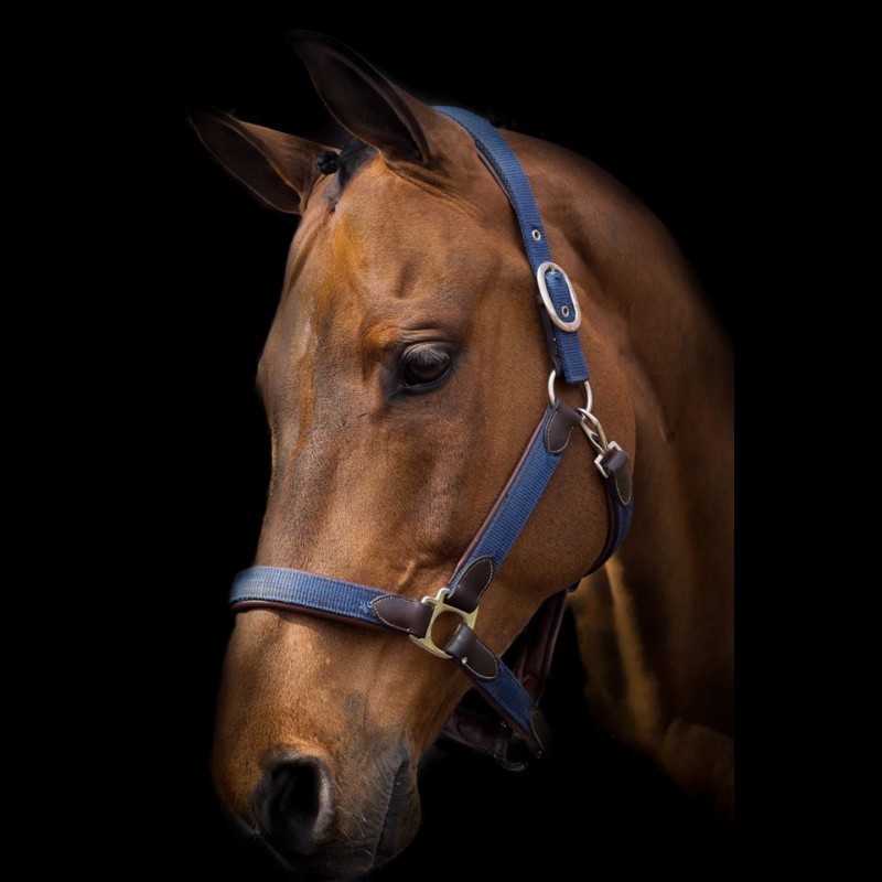 Web-Exclusive 40% Off Dion Nylon & Leather Halter