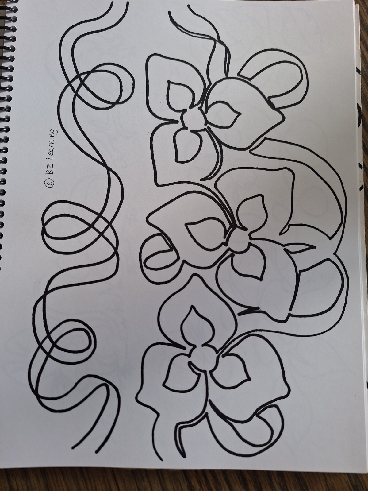 Simply Continuous Quilting Spiral Bound Book Anne Bright