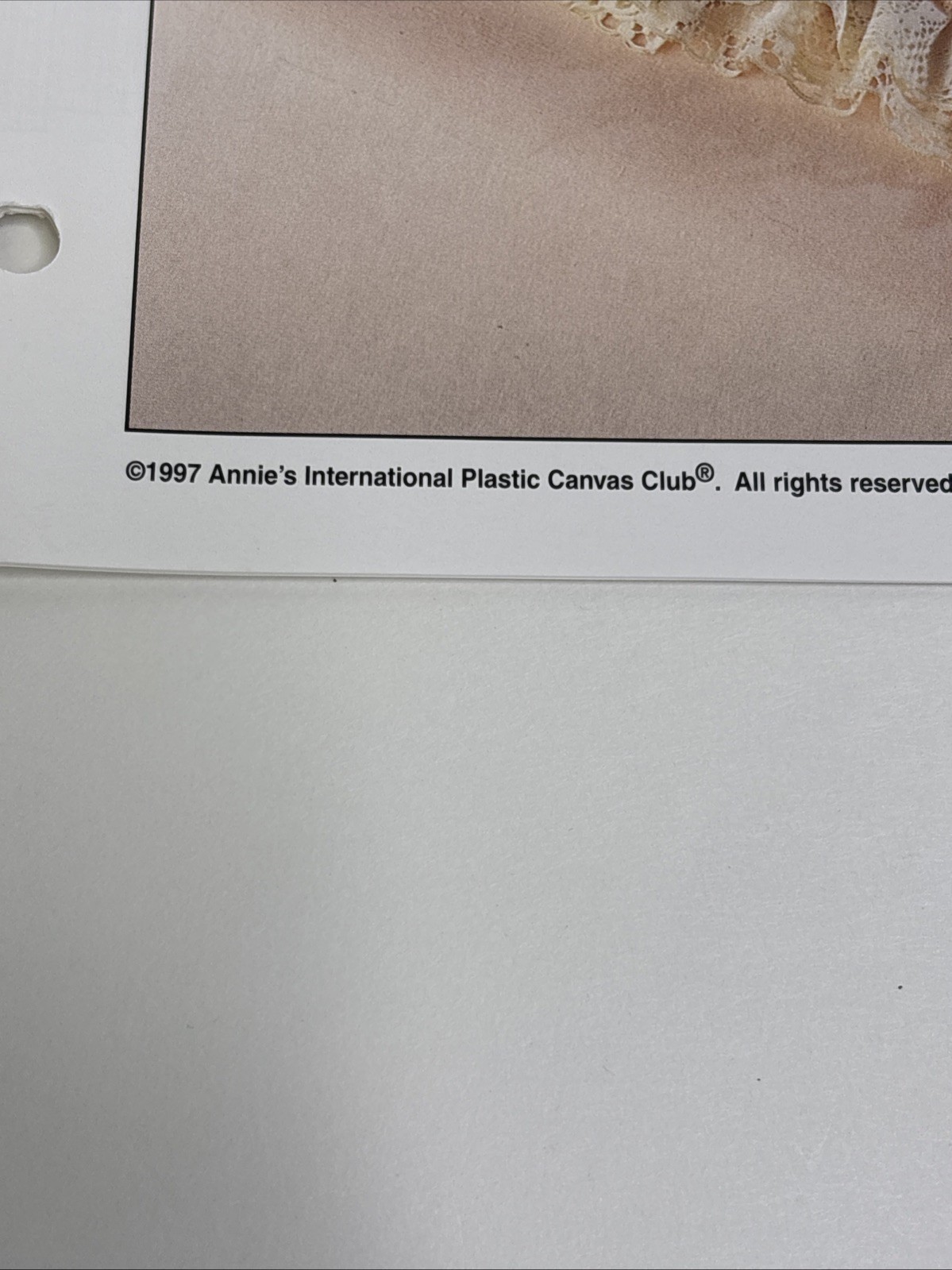 Magnolia Table Setting Place Mat Annie's Attic Plastic Canvas Pattern Page
