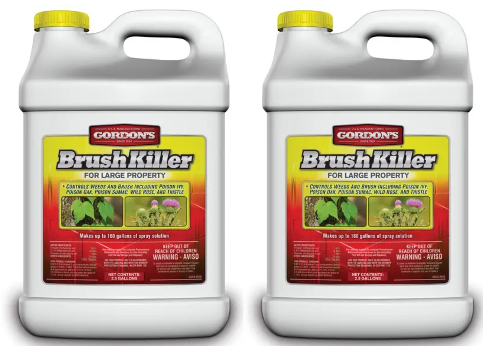 Gordon's 2.5 Gallon Brush and Stump Killer Concentrate 2321122 - Pack of 2