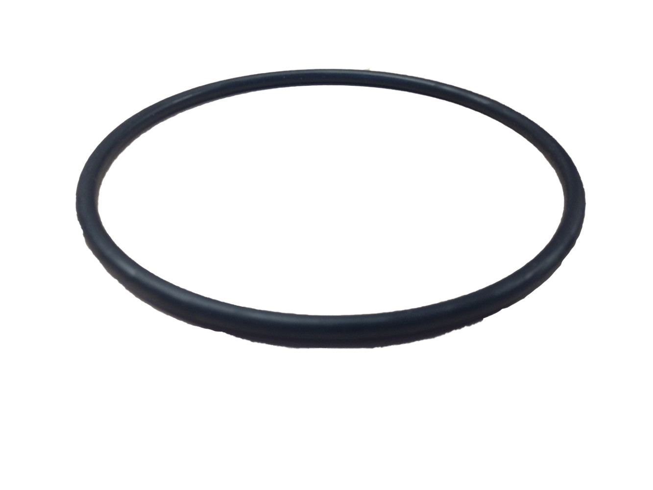 LeafVac Canister O-Ring – Pentair In-Floor (A&A) | 219001