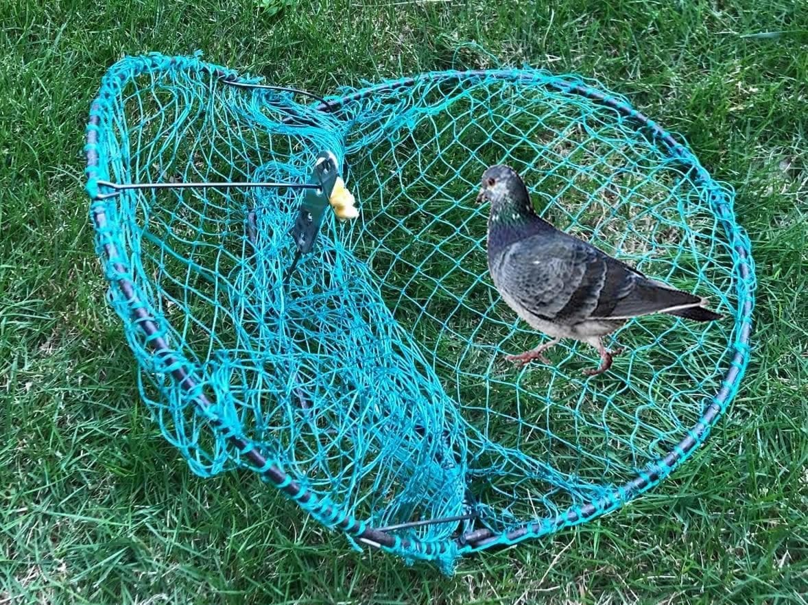 12“ Bird, Pigeon, Quail Humane Live Trap Hunting Bird Trap