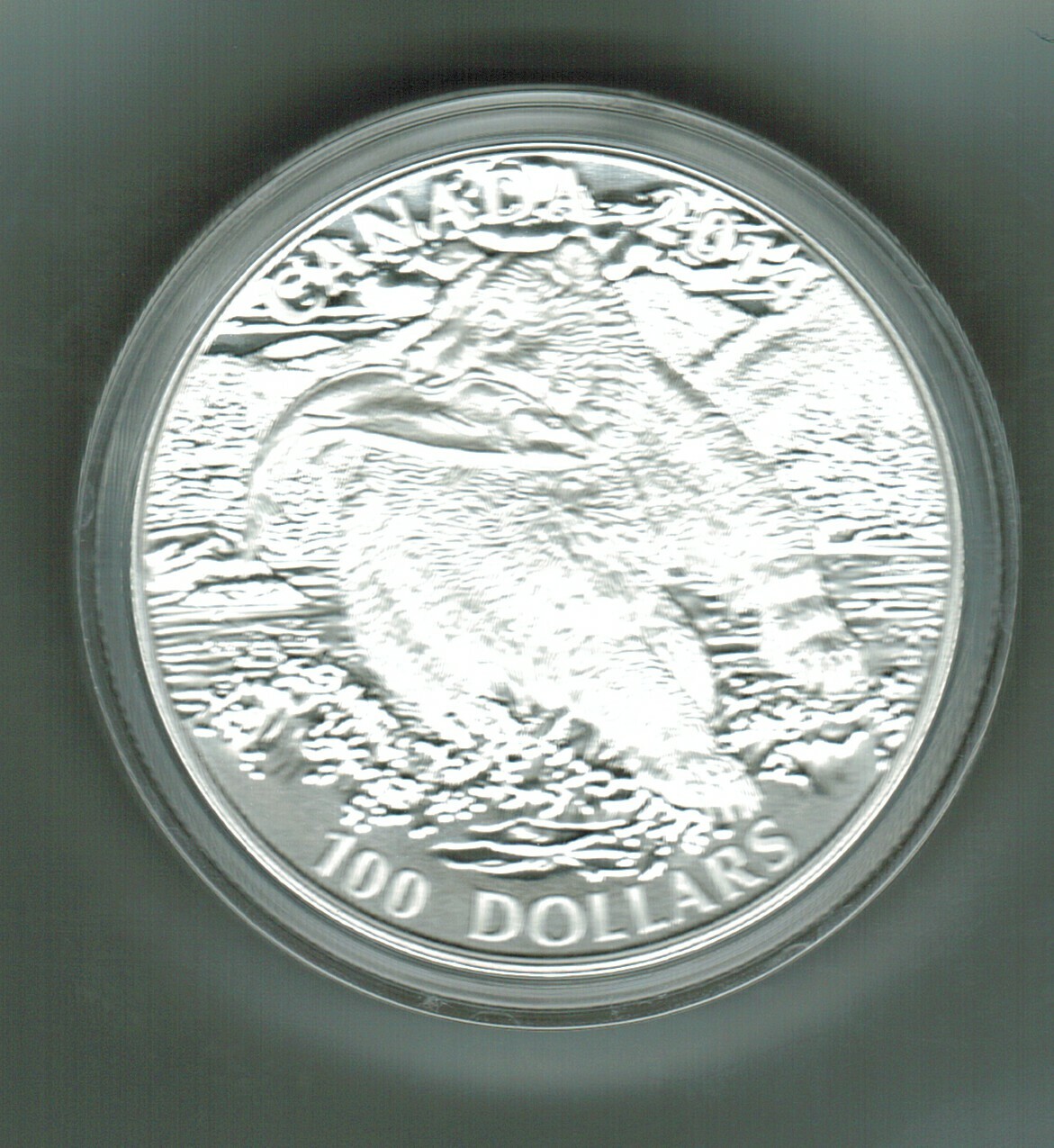 2014 FACE VALUE $100.00 THE CANADIAN GRIZZLY BEAR COMMON IN BC,ALBERTA AND NWT.