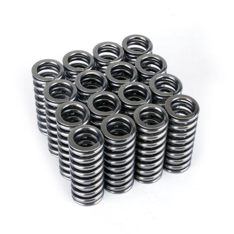 SKUNK2 RACING HONDA CIVIC VALVE SPRINGS D16 D16Z6 D16Y7 D16Y8 1.6L SOHC D-SERIES
