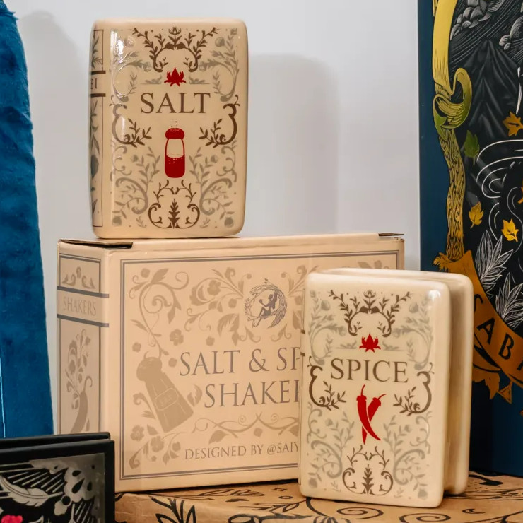 Fairyloot Magical Tomb Salt & Spice Pepper Shakers NIB Faux Book Vol I & II