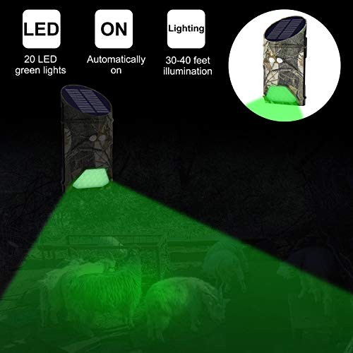 Solar Green Game Feeder Lights with Motion Activated for