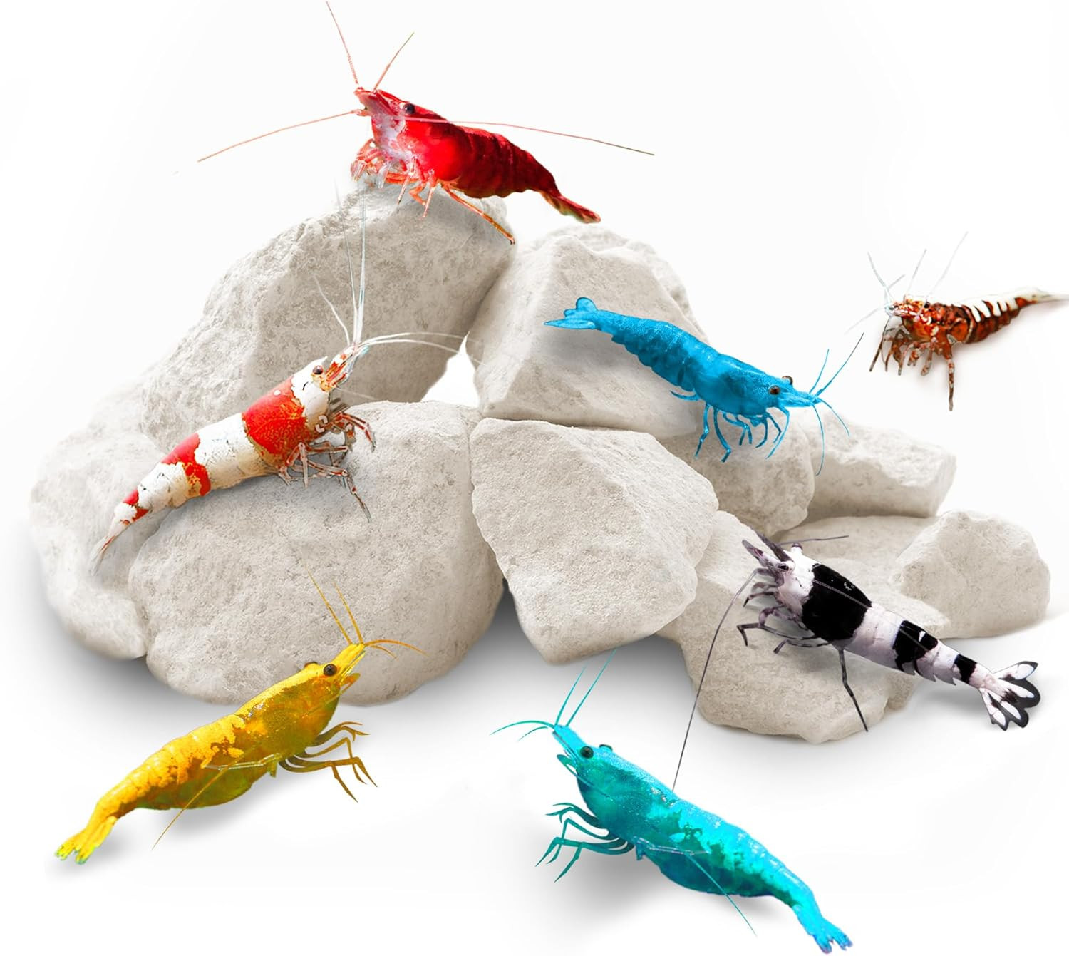 Shrimp Rocks for Aquarium, 4-Oz. Calcium Stones for Freshwater Aquarium Calcium