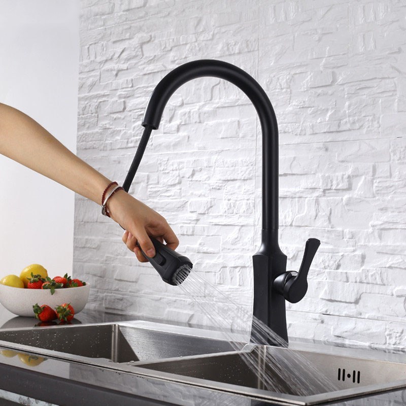 Black Kitchen Faucet 2-way Pull Out Spray 360 Swivel Rotation Brass Luxury Tap