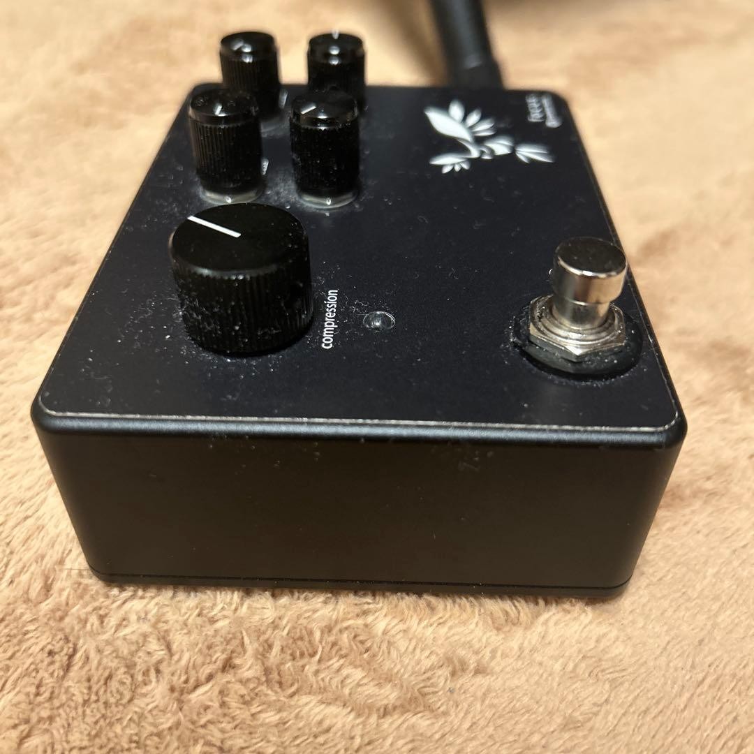 Focus Limetone Audio