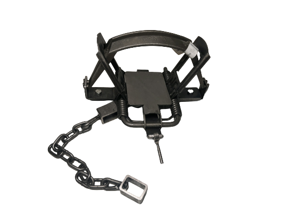 1 Duke 850 Pro Series Offset Coil Spring Trap 4 Coil Wolf Beaver Cougar