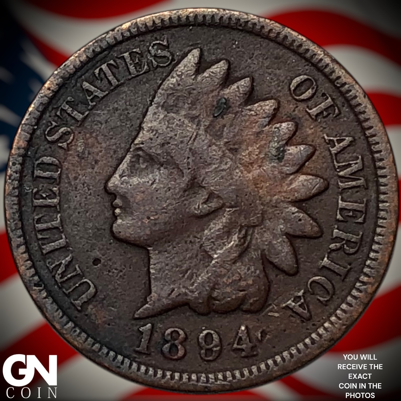 1894 Indian Head Cent Penny Z3103