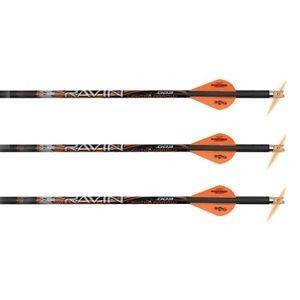 Ravin Crossbows Premium Match-Grade Lighted Arrows - .001 - 400 grain (w/100 ...