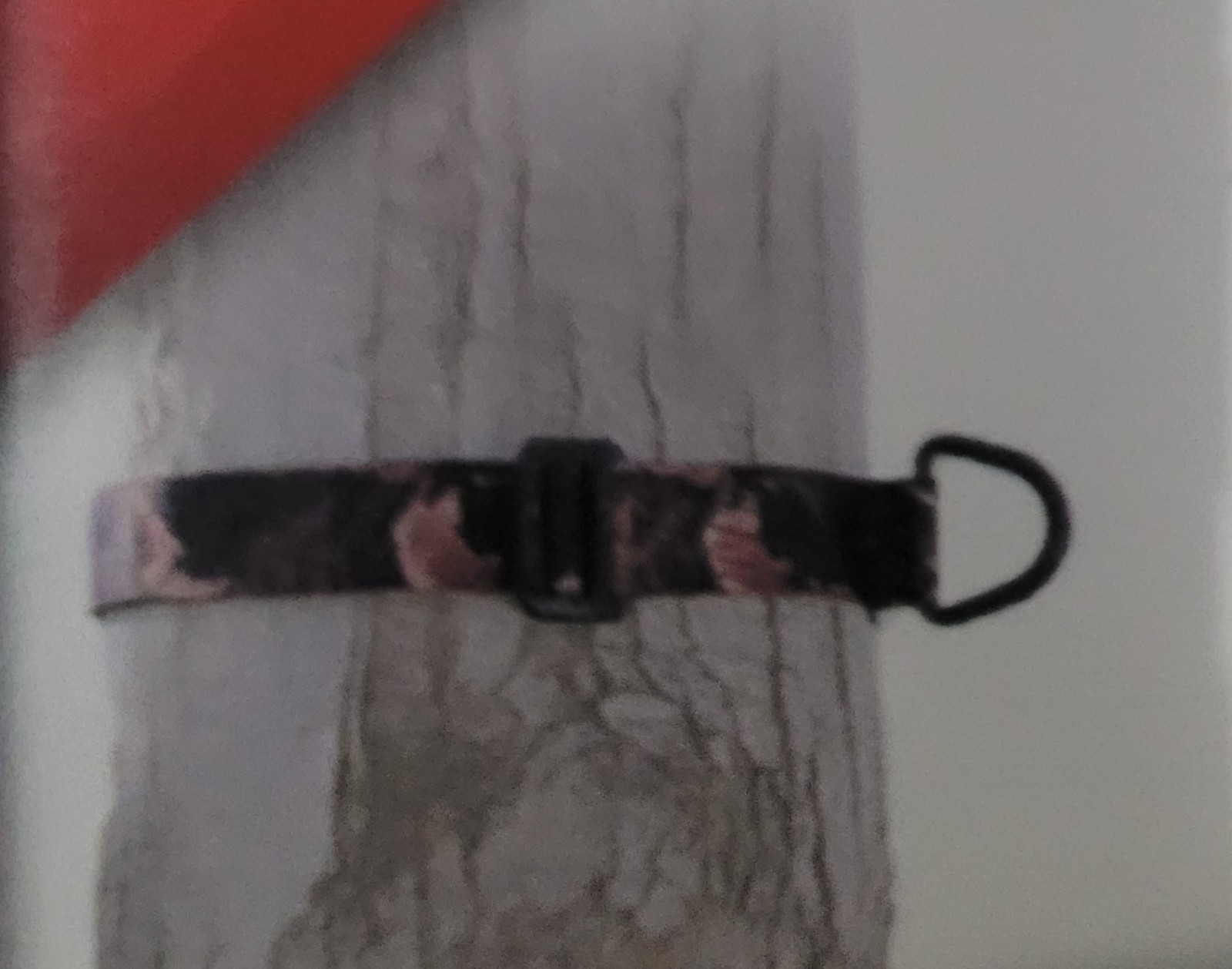 AMERISTEP Quick-Connect Tree Strap Safety System Climbing Tree Stand Hunting NEW