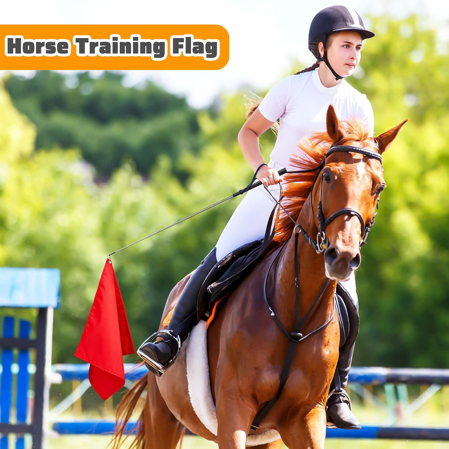Equestrian Training Flag 4 Pieces Equestrian Training Equipment Nylon Flag with