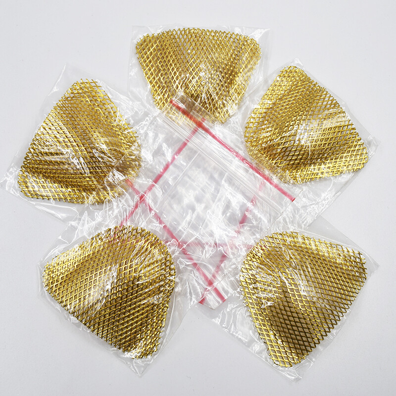 10Pcs Dental Upper Stainless High Quality Strengthen Golden Metal Net Plate Tray