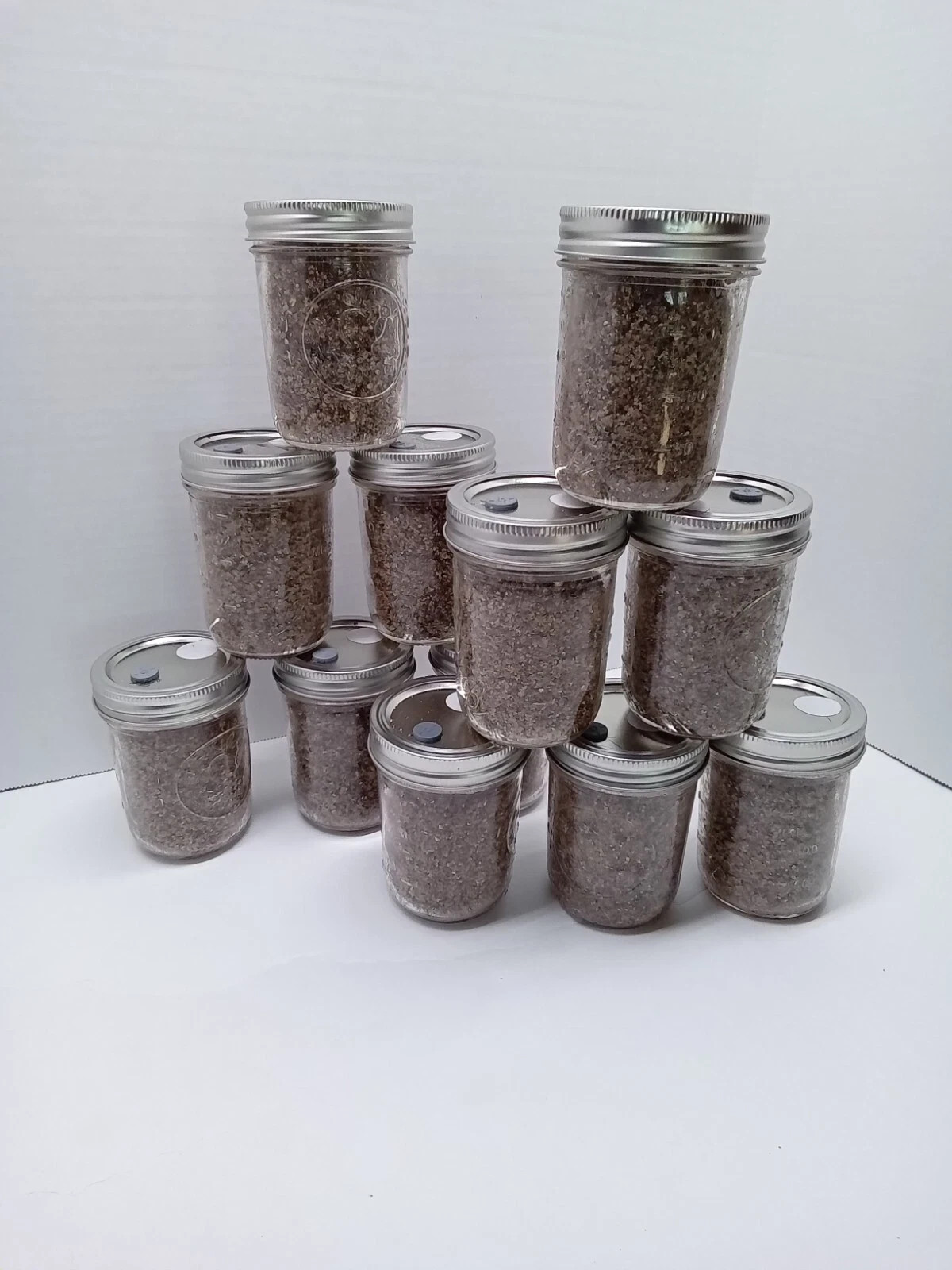 PF Tek Mushroom Jars BRF 1/2 pint sterilized Inject Filter FAST SHIP 6 Pack