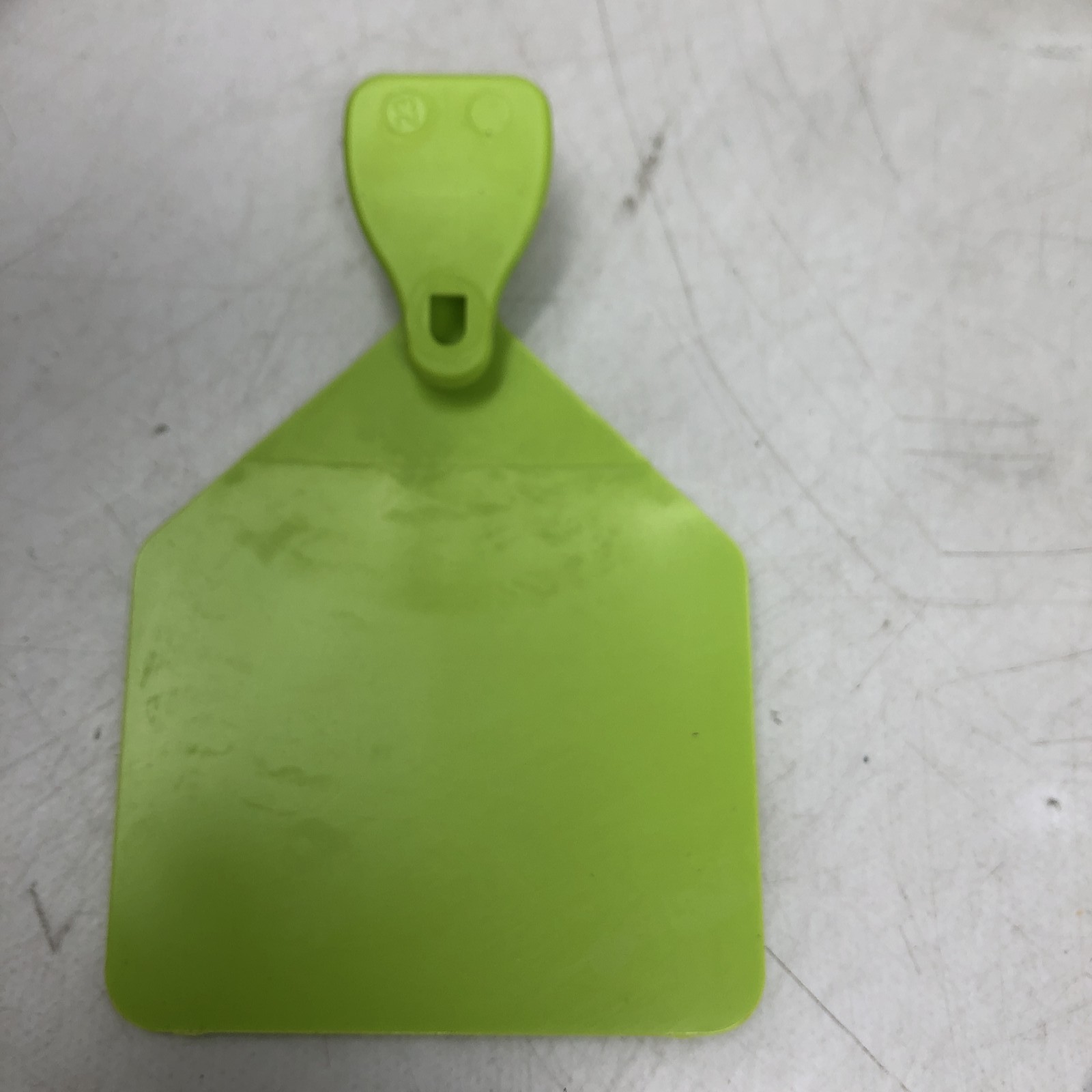 Temple Tag Feedlot Blank Cattle Ear Tags 50 Count Green