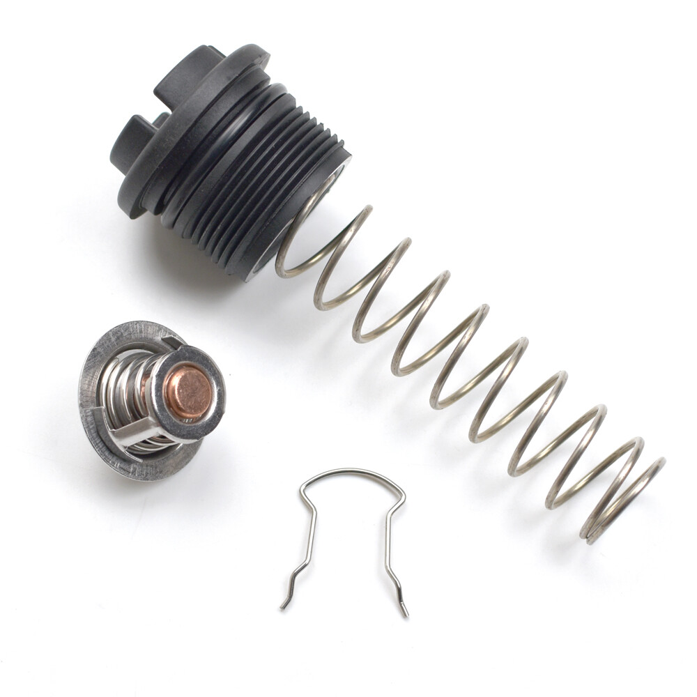 Pentair Thermal Regulator Replacement Kit Pool and Spa Heater (77707-0010)