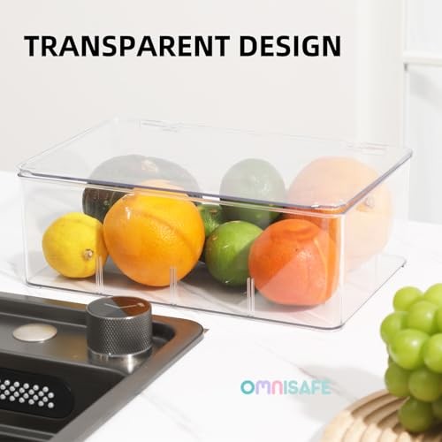Divided Clear Plastic Organizer Bin with Hinge Lid, 8 Sections Tea Bag Two