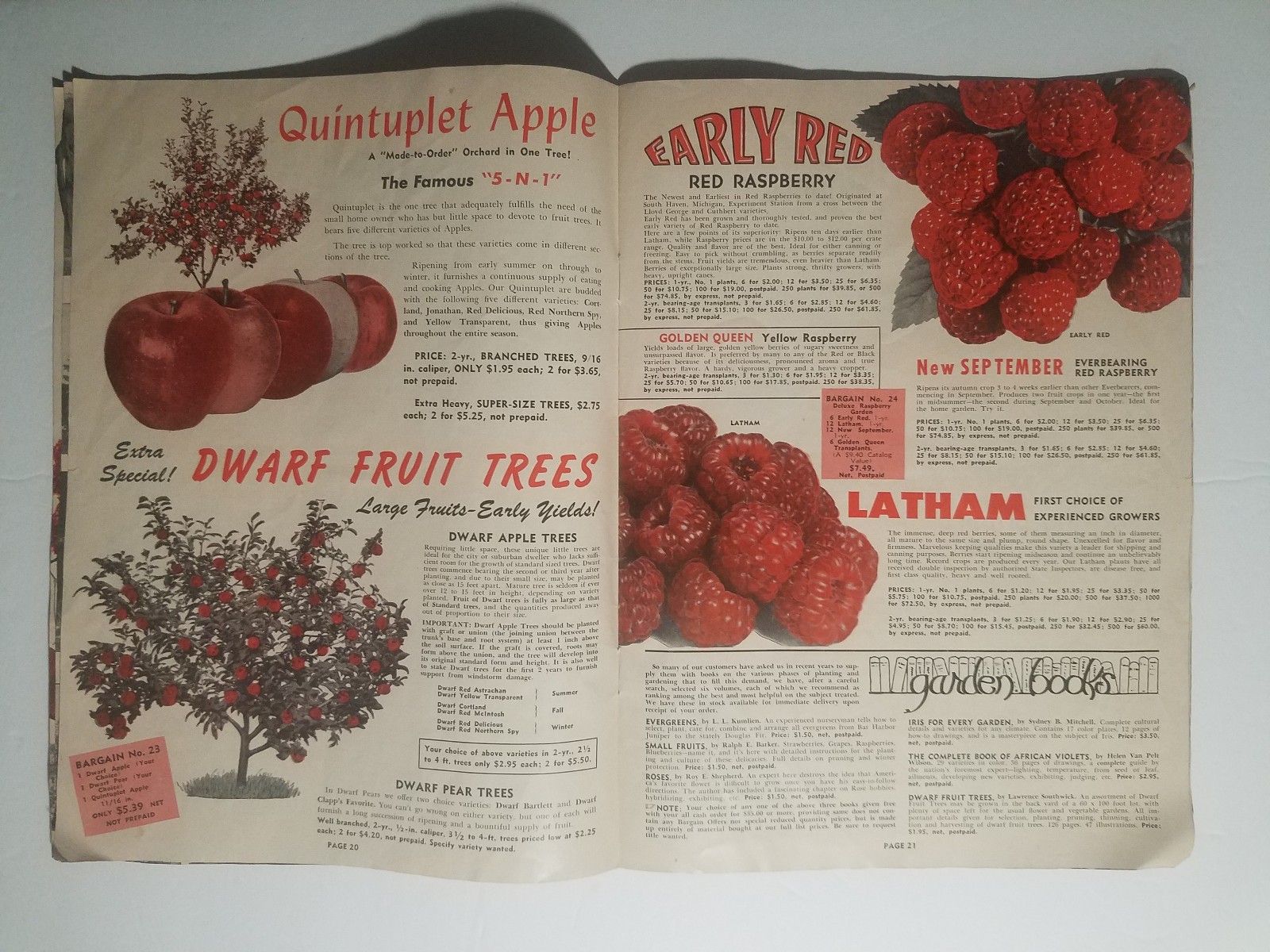 1955 Whitten Nurseries Catalog