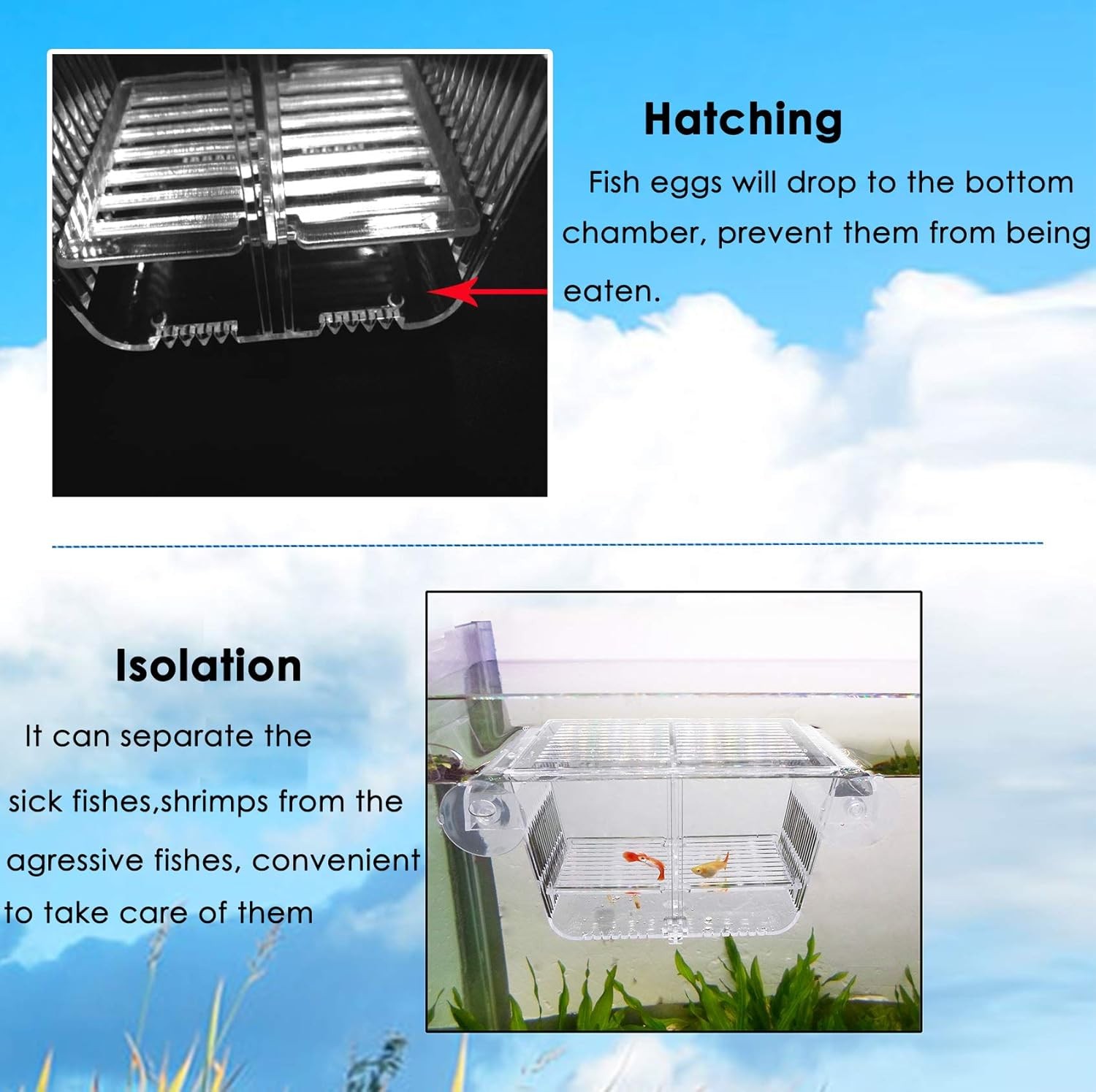 Small Acrylic Fish Breeding Box Suction Cups