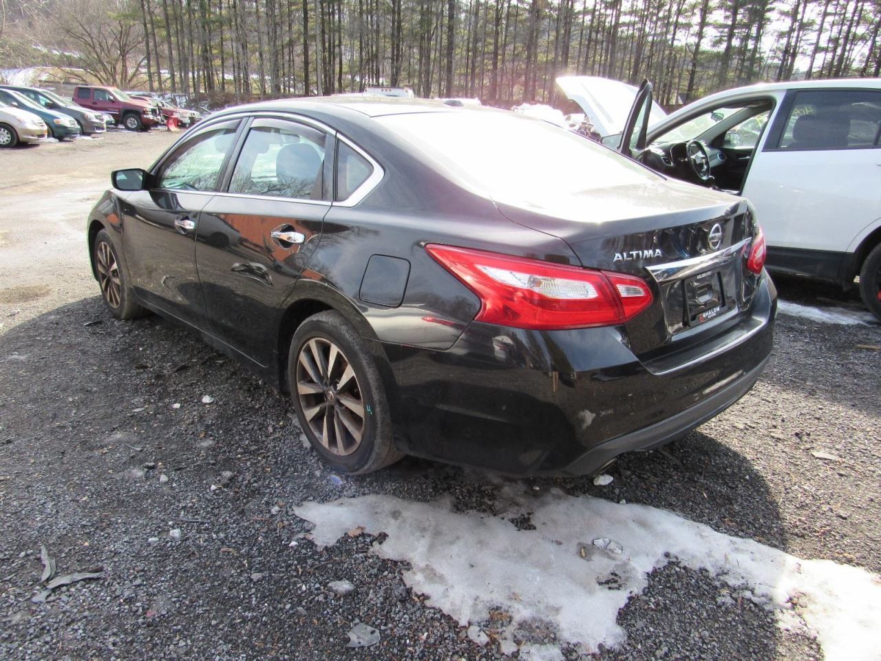 ALTIMA 2017 Glove Box 1037813