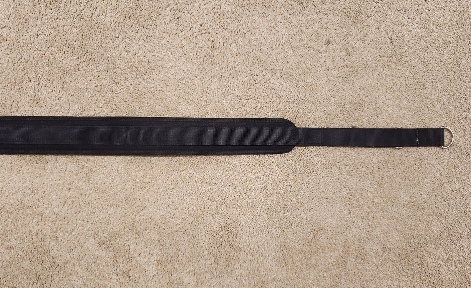 Bowflex Ultimate 2 Rowing Belt VGC