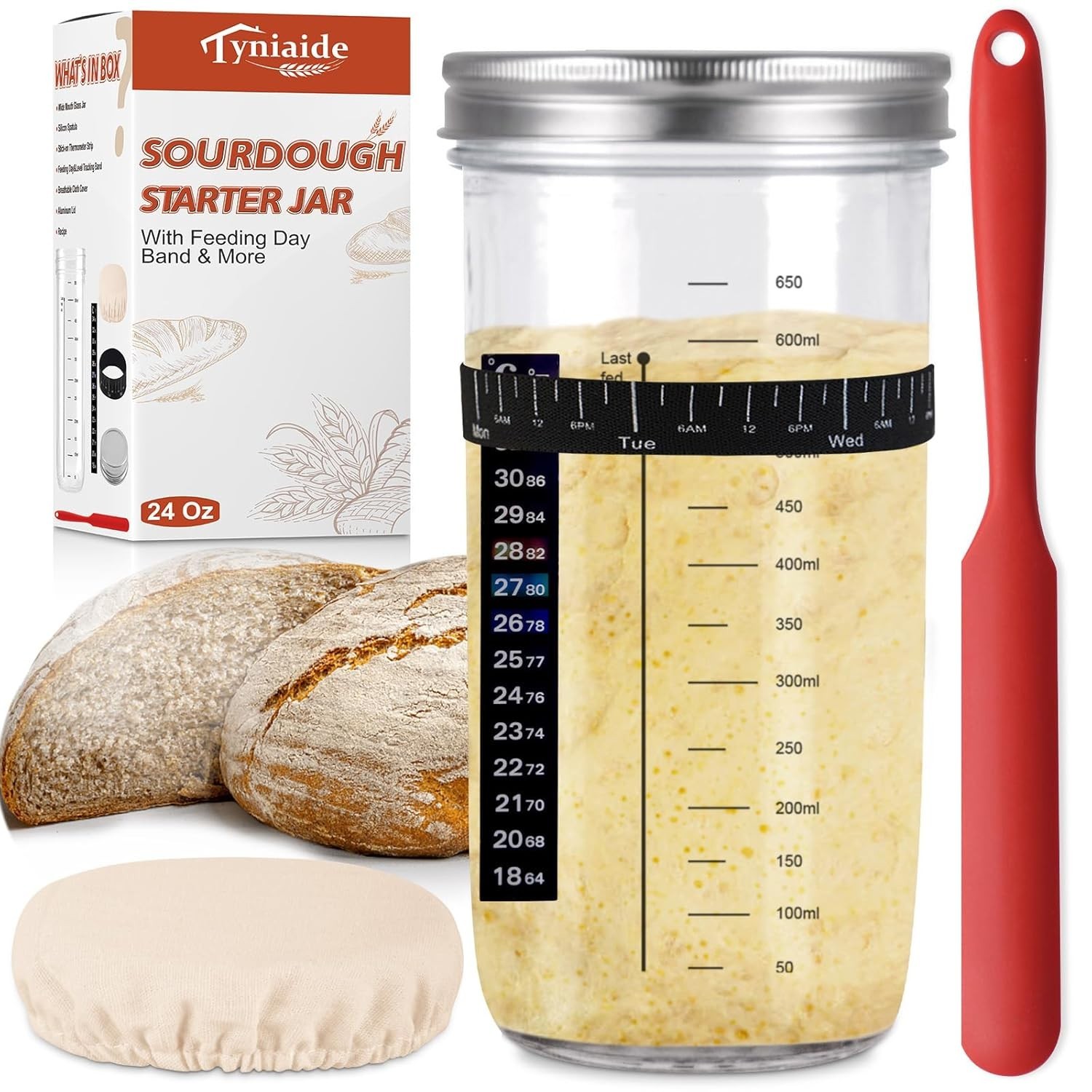Versatile 650ml Sourdough Fermentation Jar with Tools for Baking Enthusiasts