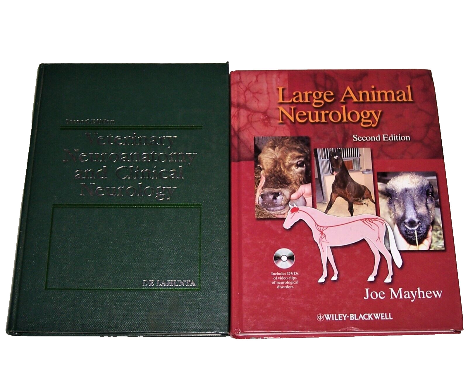 Lg Animal Neurology & Veterinary Neuroanatomy And Clinical Neurology Book LOT