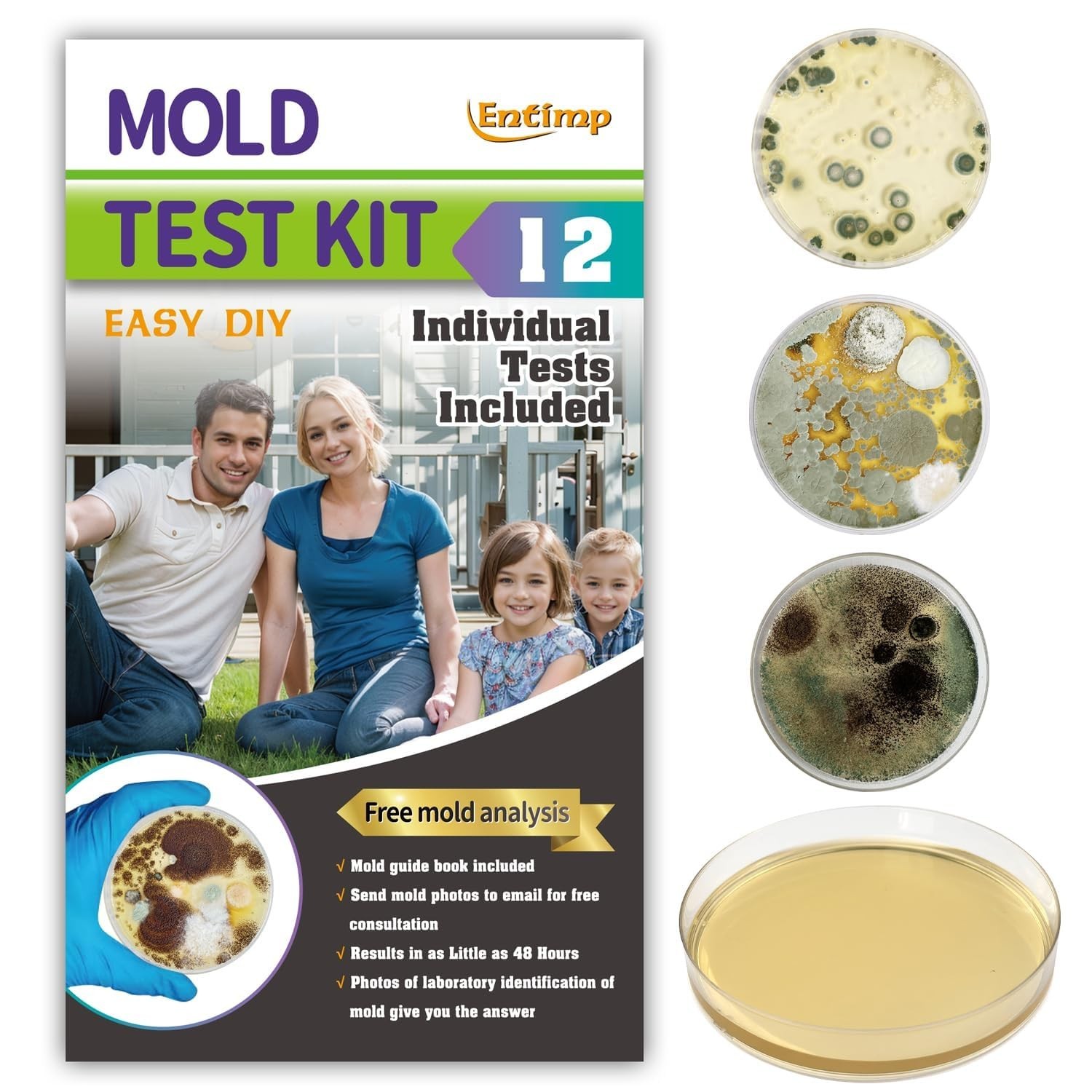Mold Kit for Home Within 12 Individual Tests,DIY Detector at Home, Surface M...