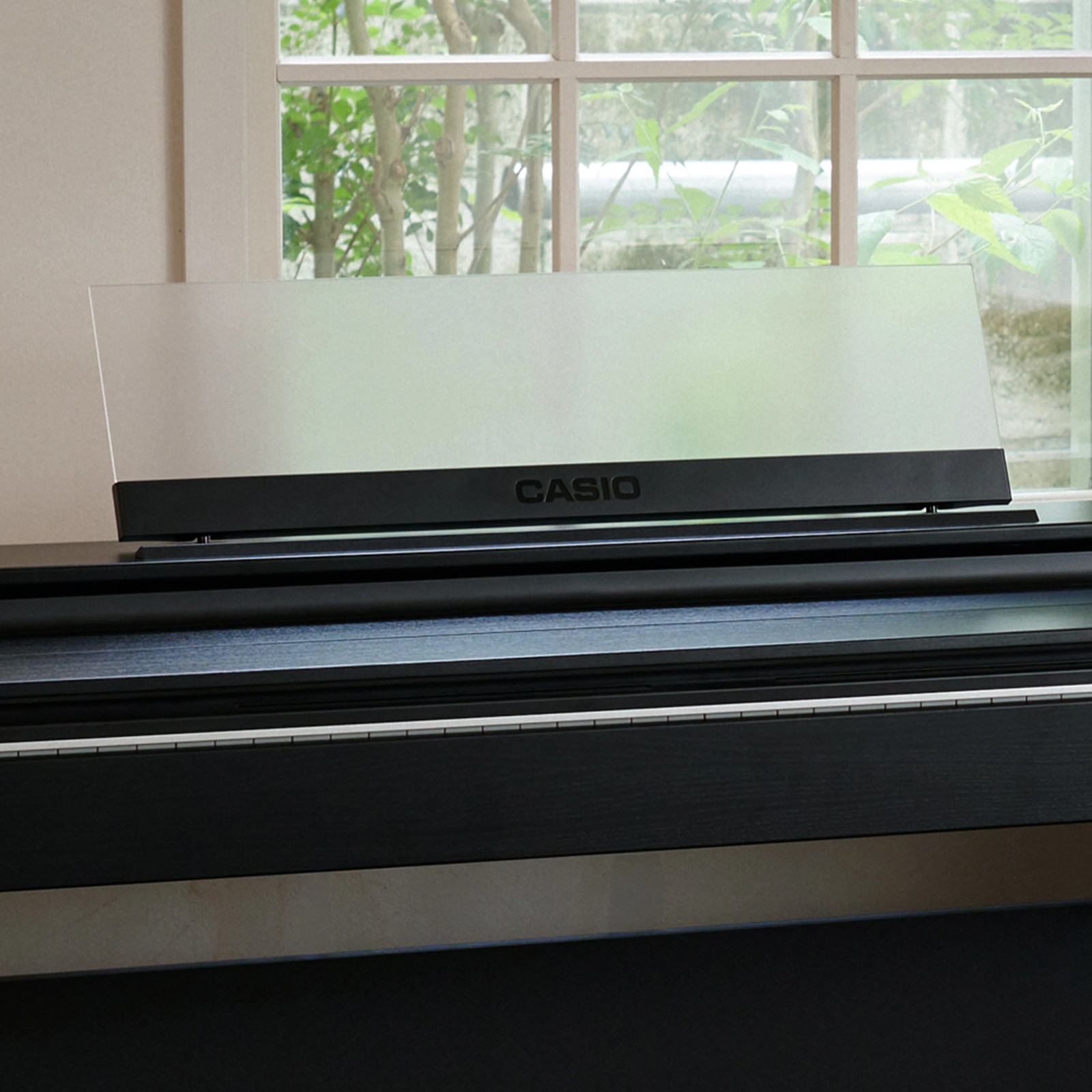 Casio Celviano AP-S200 Digital Piano - Black