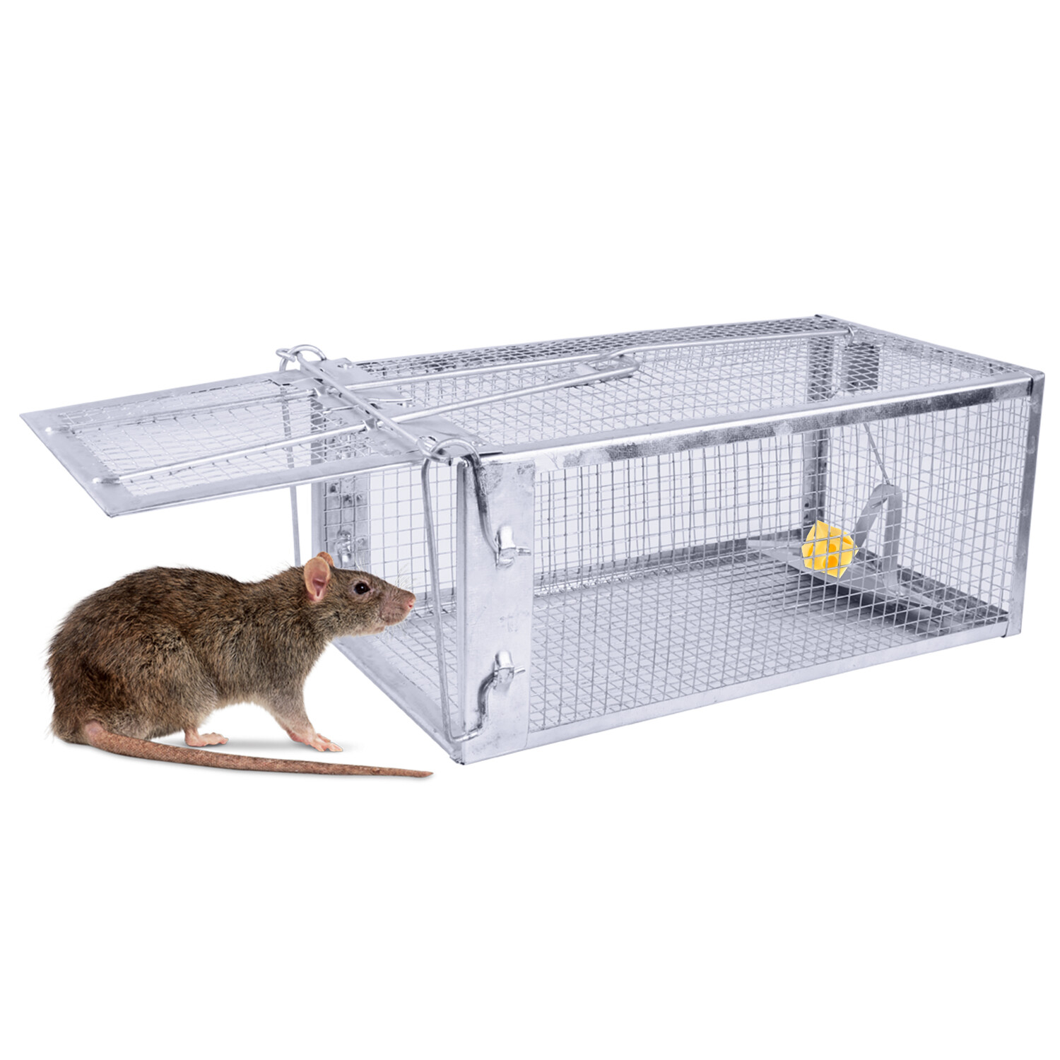 Large Live Humane Cage Trap for Squirrel Chipmunk Rat Mice Rodent Animal Catcher