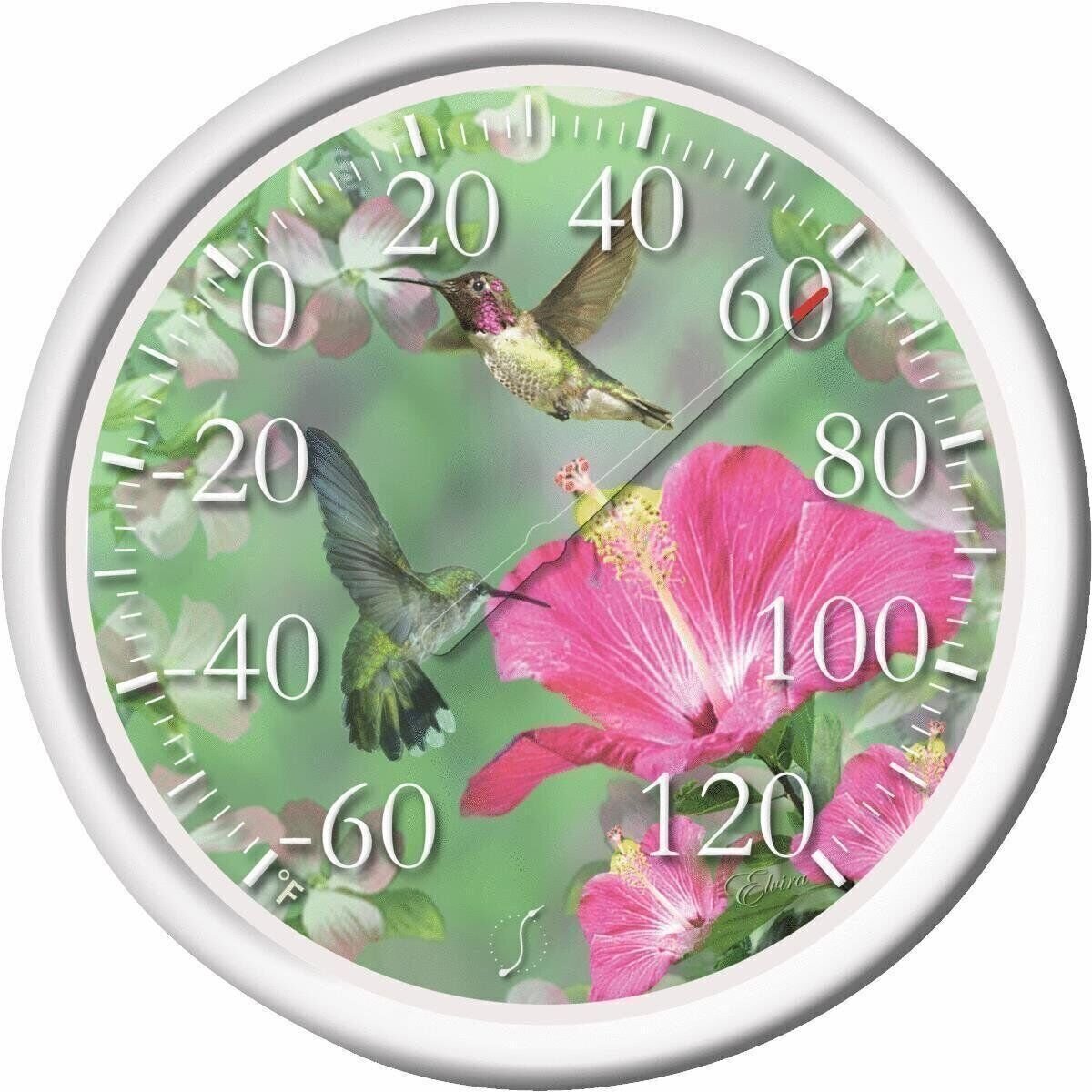Taylor Hmngbrd Dial Thermometer