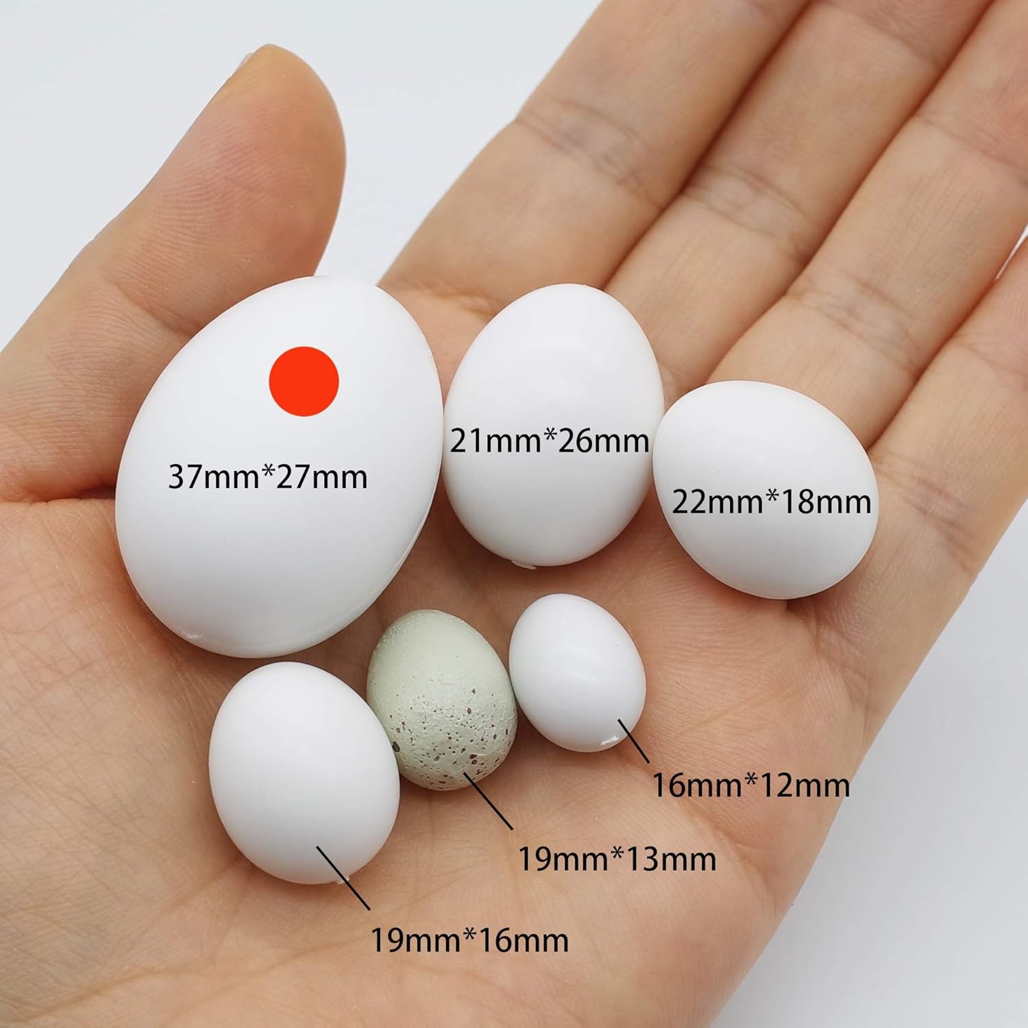 FOIBURELY 5 Pcs Solid Parrot Plastic Eggs Hatching Eggs Mini Macaw Amazon Cockat