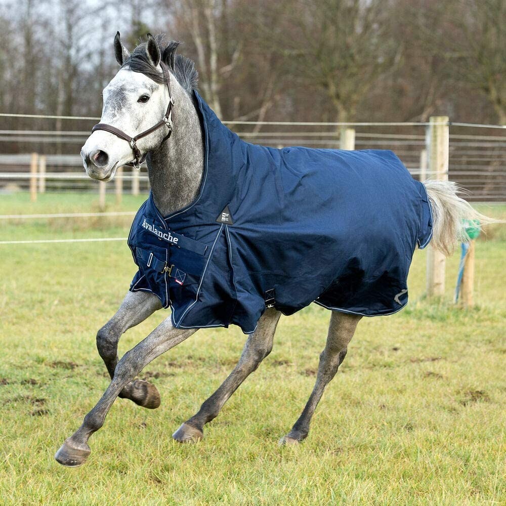 HORZE Avalanche High Neck Lightweight Turnout Sheet Blanket - No Fill - Blue 63"