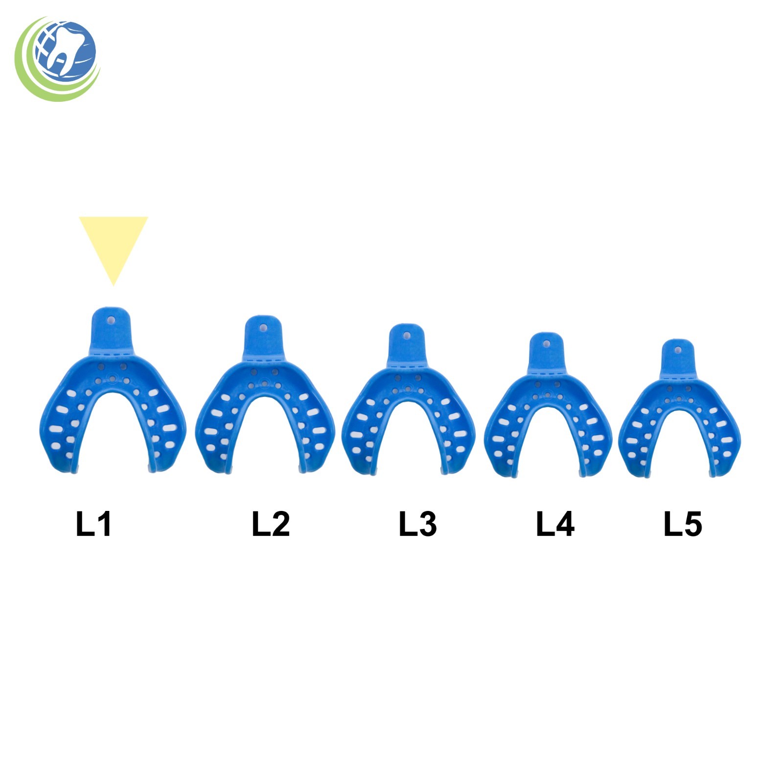 Dental Plastic Edentulous Disposable Impression Trays Autoclavable Lower XL 12PC