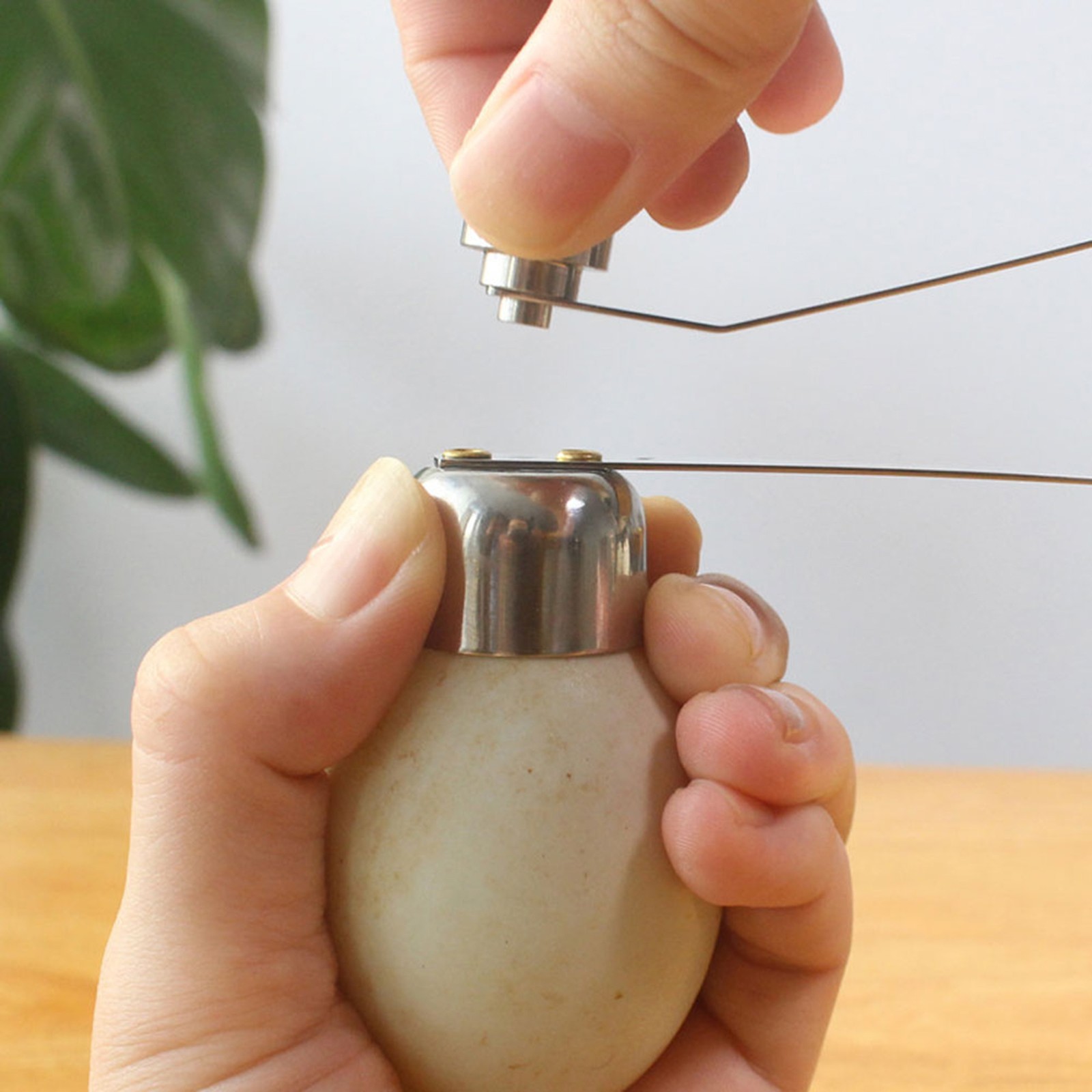Stainless Steel Eggshell Cutter Opener/Cracker For Kitchen (S)